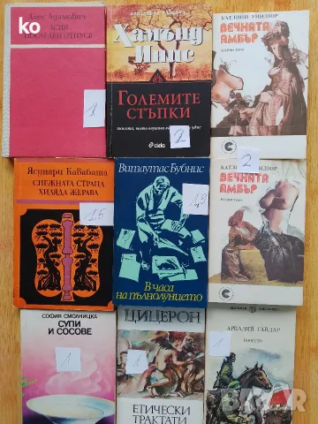 Книги за свободното време , снимка 9 - Художествена литература - 53875244