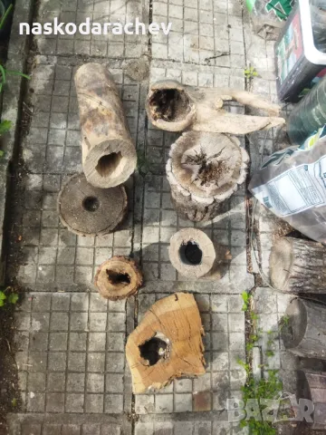 Пън, пънове, дънери с естествени дупки и без - за саксии, кашпи, декорация, снимка 12 - Саксии и кашпи - 27513634
