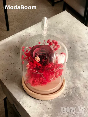 Роза в стъкленица подходяща за всяка дама