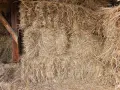Бали сено и слама, снимка 4
