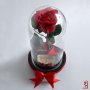 Романтичен Подарък за Жена / ЕСТЕСТВЕНА Вечна Роза в Стъкленица / Подарък за Годишнина от Сватбата, снимка 7