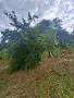 Продава се парцел (УПИ) във вилна зона Чeканица, гр. Ботевград - 1017 кв.м, снимка 9