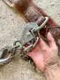 Стар колан от едно време, снимка 2