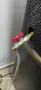 Лиофилизатори (freeze dryer) Harvest Right - размери S (4 тави) и M (5 тави), снимка 15