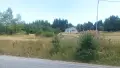 Ливада край язовир Батак, снимка 2
