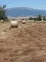 Продавам ролонни бали сено, снимка 3