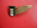 Армейски бронзов знак с емайл , снимка 2