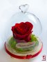 Вечна ЕСТЕСТВЕНА роза в Стъкленица / Интересен Подарък за Приятелка / Подарък за Годишнина, снимка 3