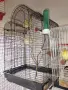 Продавам Канари 6 бр и 4 бр клетки с всички аксесоари!, снимка 6