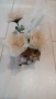 ваза с рози и кокос море сувенир, декорация подарък