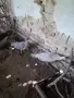 Пауни опал паунчета, снимка 2