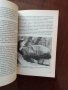 Тайното досие Археология ( книга 55 ), снимка 8