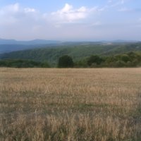 Продават се 57.5 дка земеделска земя, до Трявна, снимка 2 - Земеделска земя - 42125634