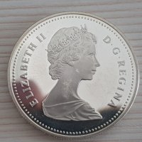 1 сребърен долар 1982 година Канада Елизабет II сребро 2, снимка 4 - Нумизматика и бонистика - 37435705