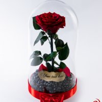 Подарък за Годишнина от Сватба / Естествена Вечна Роза в ГОЛЯМА Стъкленица/ Подарък за Любимата Жена, снимка 7 - Други - 34470517