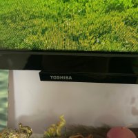 Smart TV Toshiba в гаранция до 07.2024, снимка 2 - Телевизори - 38711512