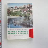 Книга Велико Търново , снимка 1 - Специализирана литература - 31178404