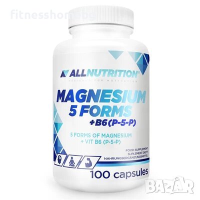 MAGNESIUM 5 FORMS + B6(P-5-P) 100 kap, снимка 1