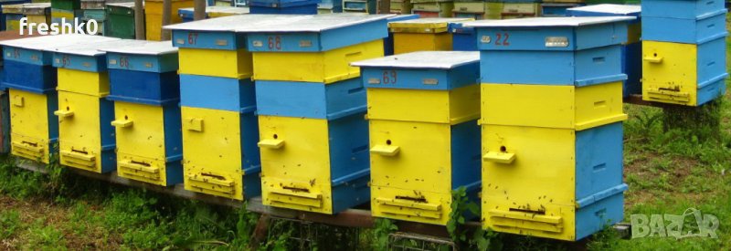 Кошери + пчелни рамки, снимка 1