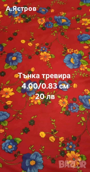 тревира, снимка 1