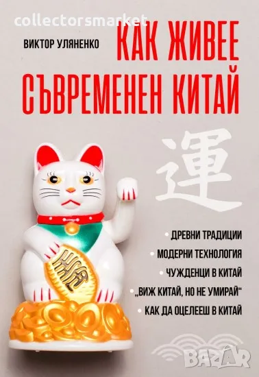 Как живее съвременен Китай, снимка 1