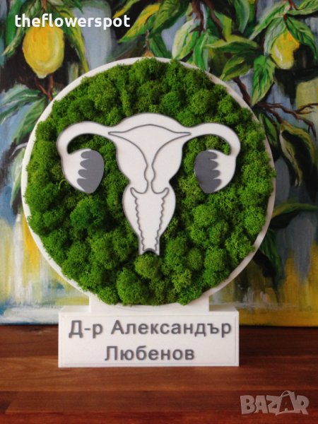 Подарък за гинеколог и гинекологична клиника, снимка 1