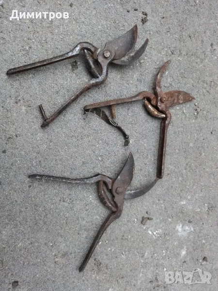 Лозарска ножица , снимка 1