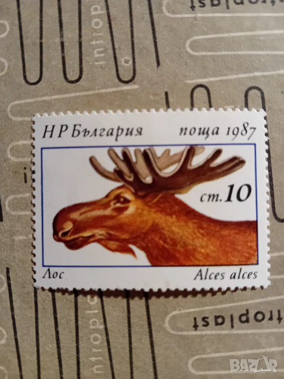Марки от България , снимка 1