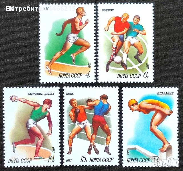 СССР, 1981 г. - пълна серия чисти марки, спорт, 4*6, снимка 1