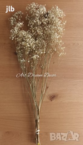  Стабилизирана Гипсофила 5 цвята, снимка 5 - Декорация за дома - 42707576