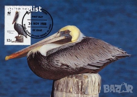 Британски Вирджински острови 1988 - 4 броя Карти Максимум, снимка 2 - Филателия - 38881568