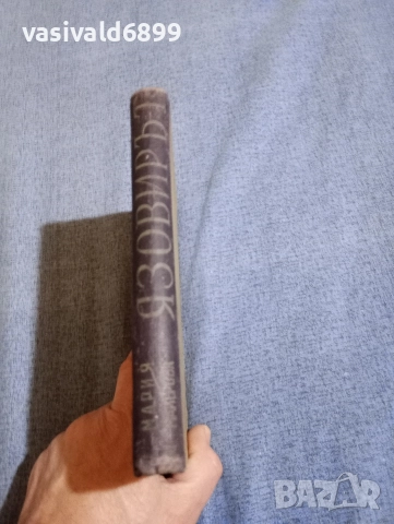 Мария Майерова - Язовирът , снимка 3 - Художествена литература - 52712491