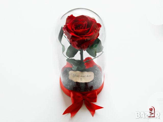 Оригинален Подарък за Рожден Ден на Жена / Естествена Вечна Роза в Стъкленица / Жива Вечна Роза, снимка 2 - Подаръци за имен ден - 38771445