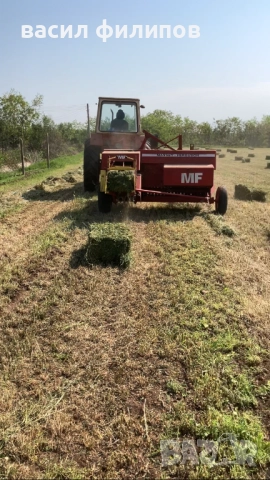 Люцерна , снимка 2 - За селскостопански - 52979185