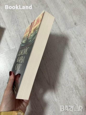 Джойс Каръл Оутс | Бавачката , снимка 3 - Художествена литература - 56545279