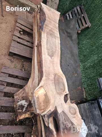 Продавам янове от орех, снимка 17 - Дърводелски услуги - 51842674