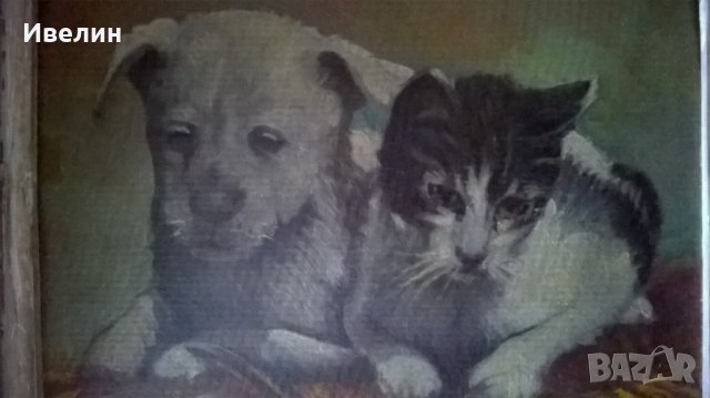 стара картина-коте и куче на дончо владков, снимка 7 - Картини - 30542181