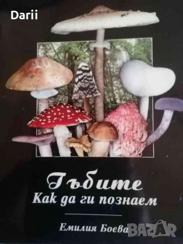 Гъбите, как да ги разпознаем- Емилия Боева