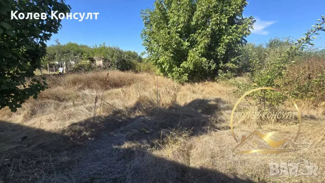 къща град Димитровград ,кв Черноконево, снимка 10 - Къщи - 56172135