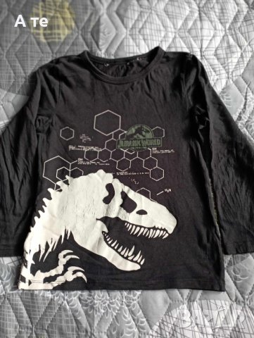 Детски блузи , снимка 8 - Детски Блузи и туники - 42482646