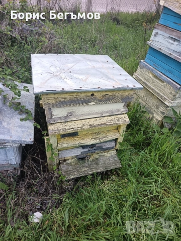 Кошери за пчели., снимка 7 - Други животни - 54258602