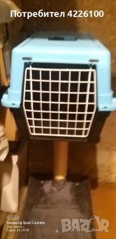 КАТЕРУШКА ЗА КОТКИ И ПРЕНОСИМА КЛЕТКА, снимка 4 - За котки - 50556707
