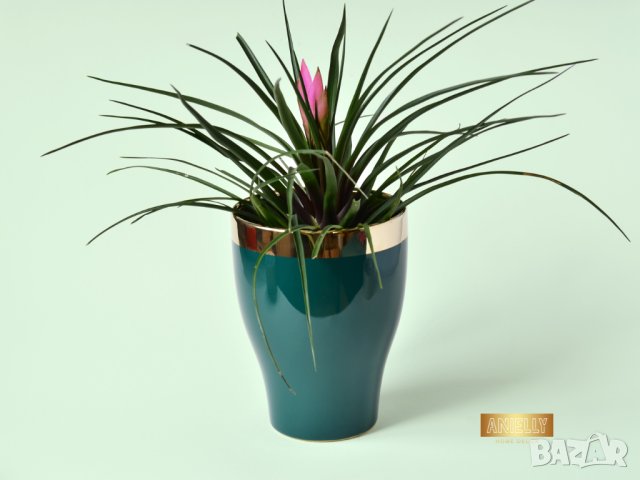 Саксия в тюркоазен цвят със златен кант / Подарък за любител на цветя / Тюркоазен цвят саксия, снимка 2 - Саксии и кашпи - 40513250