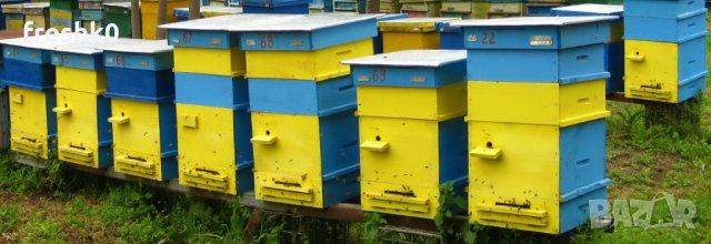 Кошери + пчелни рамки, снимка 1 - За пчели - 29871204