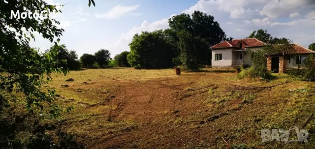 Мулчиране и косене с трактор и храсторез, Област Велико Търново , снимка 2 - Почистване на домове - 48959060