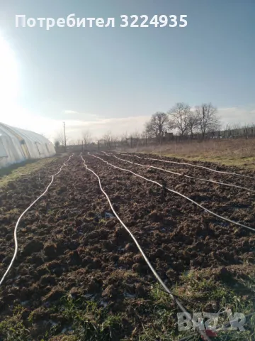 Оранжерии и открити площи под наем на 7 км. от гр. Варна в с. Куманово, от 70 кв.м. до 300 кв.м., снимка 2 - Парцели - 49053401