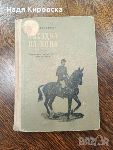 Обездка на коня