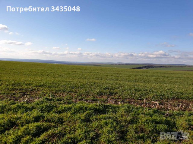 22 дка директно от собственик на главен път Варна-Русе, снимка 4 - Земеделска земя - 37330174