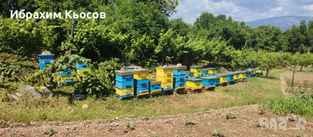 Пчелни кошери - Кошери - Pchelni kosheri - Kosheri , снимка 2 - За пчели - 40275469