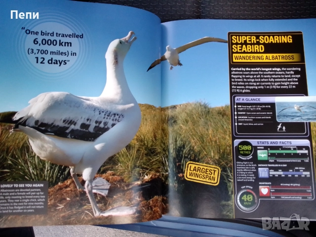 Супер Животните.Твърда корица, снимка 3 - Енциклопедии, справочници - 51723449